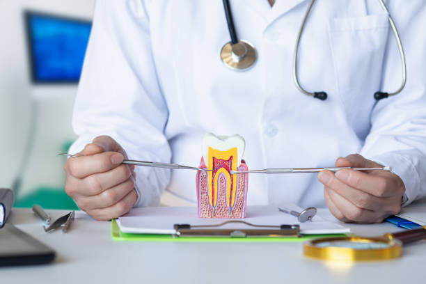 Best Emergency Dentist for Lost Fillings or Crowns in South Laurel, MD